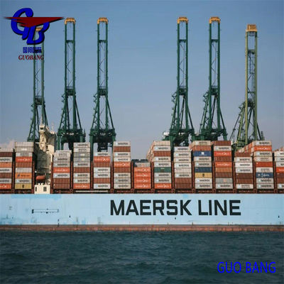 FCL および LCL 貨物タイプ 海上輸送サービス パラナグア発着 500TEU/月 供給