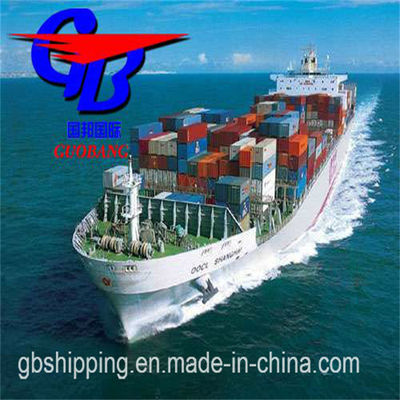 サウジアラビアからの海上貨物 総供給 5000~8000 kg 特別サービス 複数のサプライヤーからの輸送