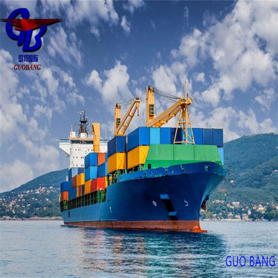 プロフェッショナルな海上貨物輸送、ベネズエラのマラカイボから、手頃な価格の通関手続き付き