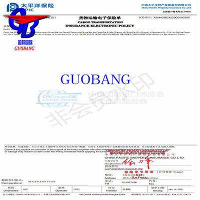大手海運会社による国際貨物輸送向け通関能力保険