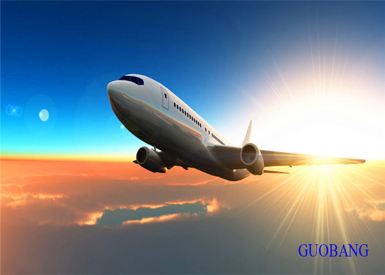SGS 中国からフランスへの航空貨物 EK 輸送