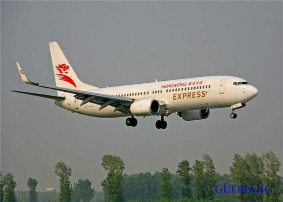 中国から米国へのドアツードアGuobang Fedex Express