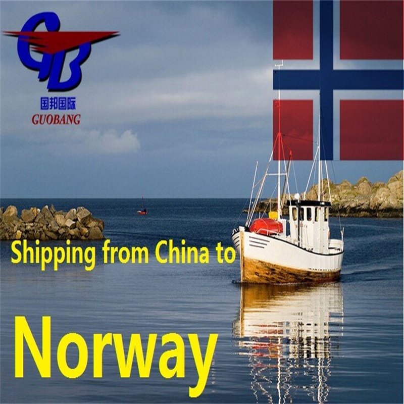 プロフェッショナルサービス CIQ/CO/FORM A/SOSA/CCPIT VERIFIED と最も競争力のあるオファーでノルウェーからノルウェーへの輸送