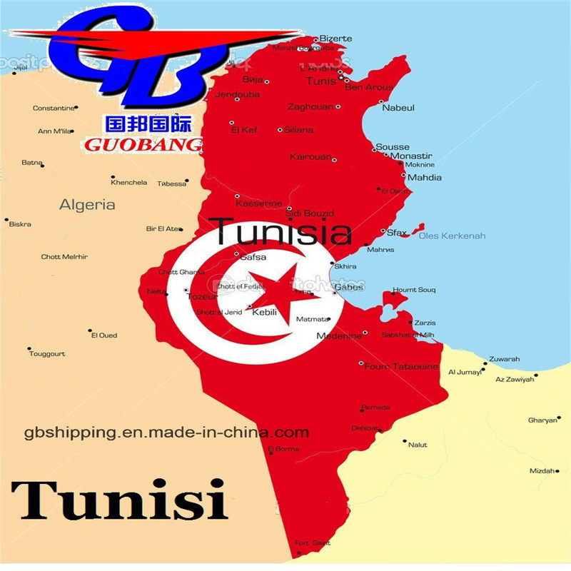 ワンストップサービス 予約・ピックアップ・関税清算 機内航空運輸Sq トュニジア航空輸送ソリューション