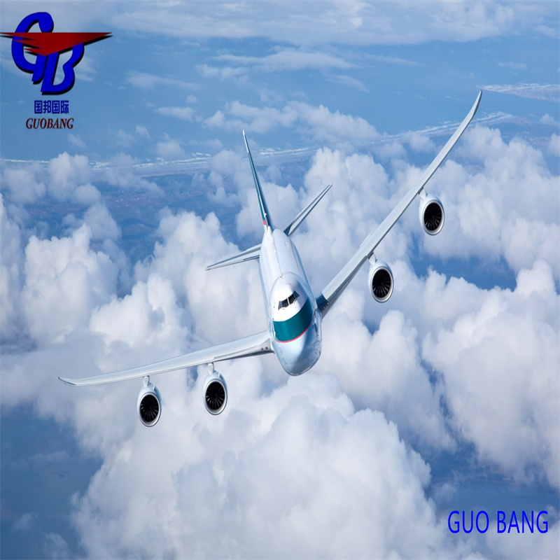 世界各地の目的地からの航空貨物運送 目的地からの航空貨物運送 CIQ/CO/FORM A/SOSA/CCPITによって確認された