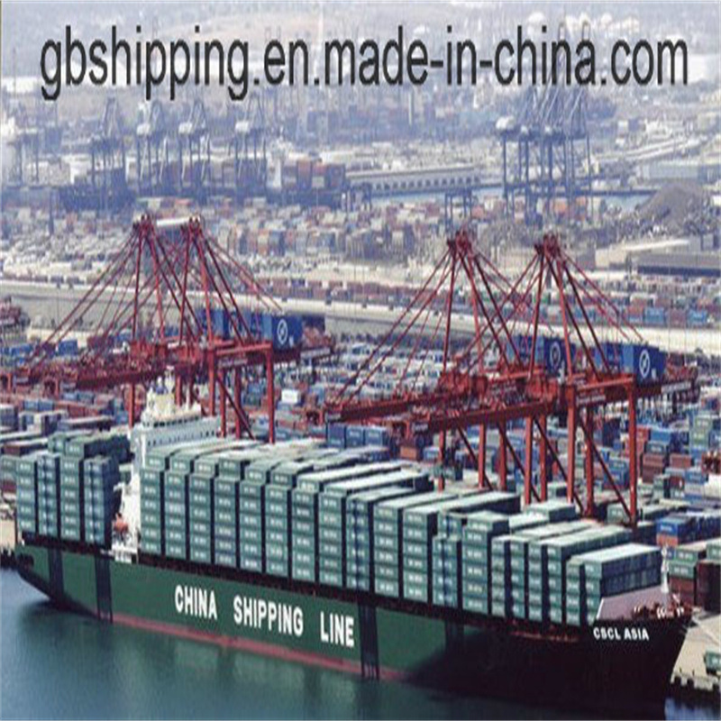 税理士 税関仲介 シェンゼンからサントス・ブラジルへのDGとLCLまたはFCLコンテナ物流