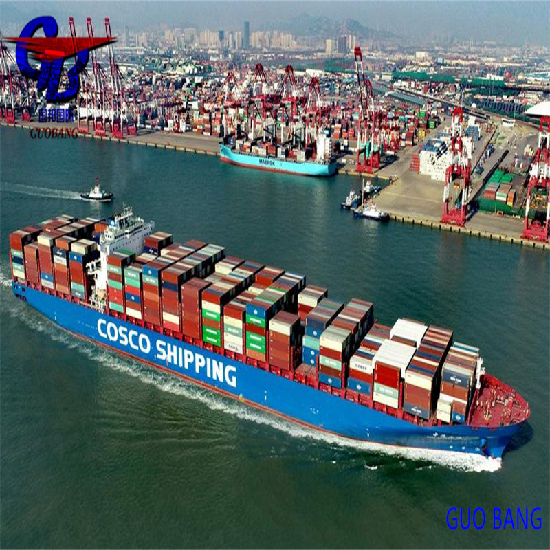 プロフェッショナルな海上貨物輸送、ベネズエラのマラカイボから、手頃な価格の通関手続き付き