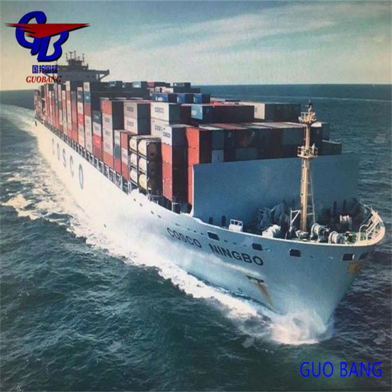 FCLおよびLCL 輸送サービス ニュージーランドからアメリカ 航空海運 LCL FCL 宅配