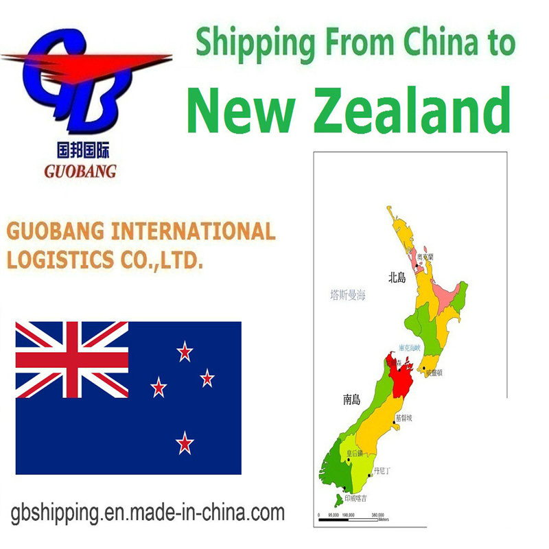 Zealand Air Shipping Services Co/Fa/Fe/FF 高速かつ手頃な価格の配送用アドオン