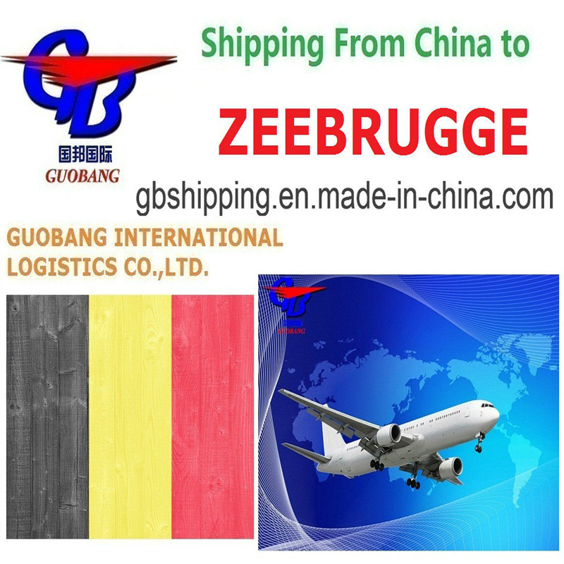 ゼーブルージュへの手頃な航空貨物サービス、サプライヤーから港/倉庫までのトラック輸送による集荷