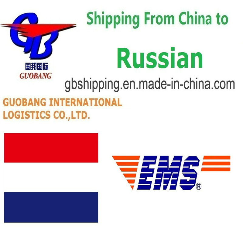20GP FCL 清掃サービス ロシアから成功の輸入のためのあなたのパートナー