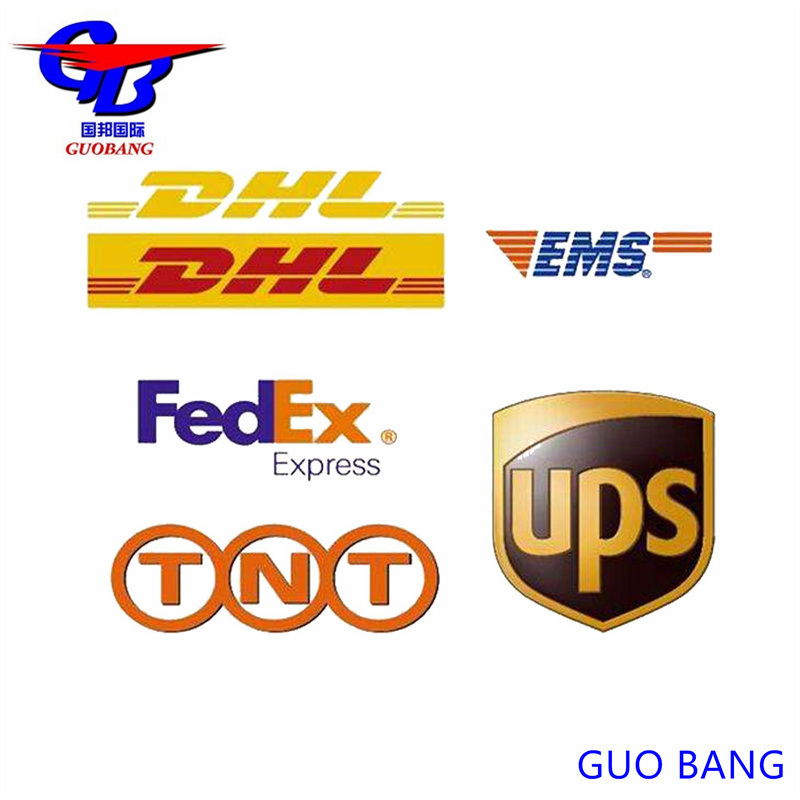 フランスからフランスへの急配 24時間線追跡サービス