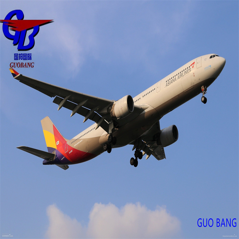 複数のサプライヤーからパリへ輸送を組み合わせる リオン・ル・ハヴル・ナンテス フランス グオバン・シッピングの特別サービス